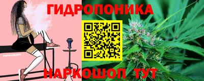 прущие грибы Кимры