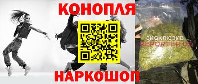 прущие грибы Кимры