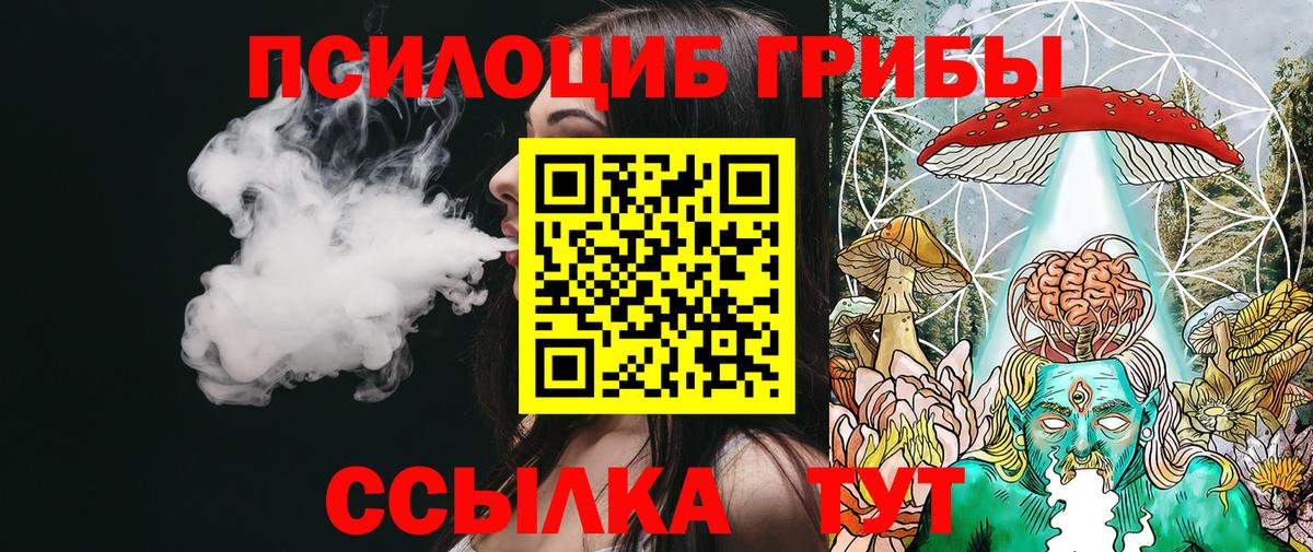 Псилоцибиновые грибы MAGIC MUSHROOMS  Псилоцибиновые грибы ЛСД  Вход с VPN  где продают   Краснодар 